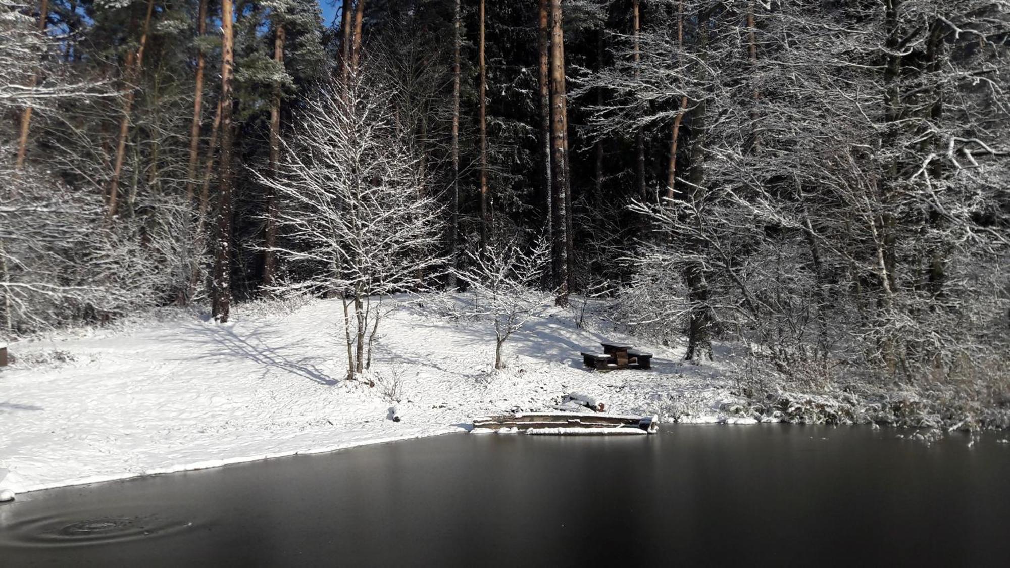 Apartamenty Jezioro I Las Mazury Powalczyn Екстериор снимка