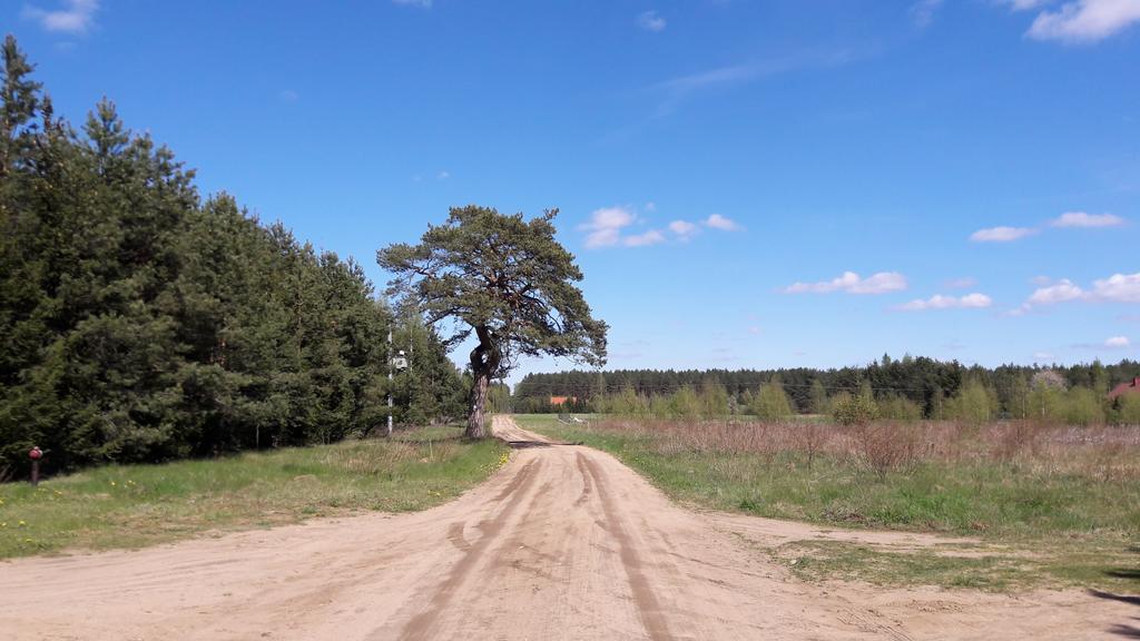 Apartamenty Jezioro I Las Mazury Powalczyn Екстериор снимка